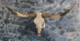 LONGHORN SKULL