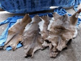 4 WHITETAIL DEER HIDES (4x$)