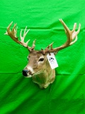 WHITETAIL FREAK REMOVABLE HORNS