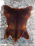 BROWN BEAR RUG