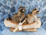 2 RACCOONS IN A CANOE (ONE$)
