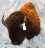 XL BUFFALO MT