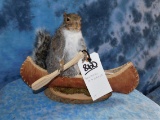 SQUIRREL IN CANOE