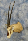 GEMSBOK MT