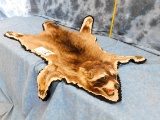 RACOON HIDE W/ HEAD