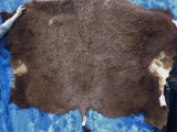 1/2 BUFFALO HIDE