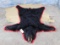 SUPER NICE NEW BLACK BEAR RUG W/MOUNTED HEAD