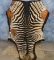 VINTAGE ZEBRA SKIN SKIN RUG