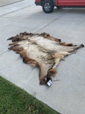 ELK HIDE