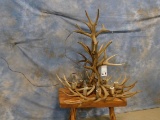 ANTLER CHANDELIER -4 LIGHT