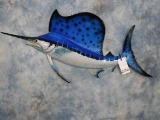 REPRODUCTION SAILFISH