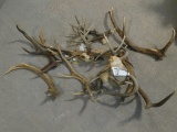 10 ANTLERS (ONE$)