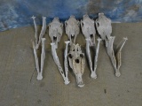 5 HORSE SKULLS (