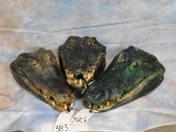 3 CAYMAN/ALIGATOR HEADS (3x$)