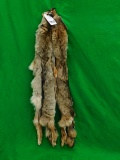 2 TANNED COYOTE HIDES (2x$)