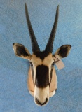 GEMSBOK SM