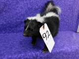 FB SKUNK