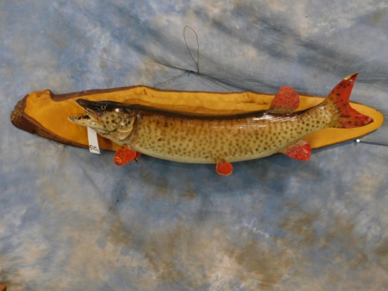 LG NORTHERN PIKE ON WOOD