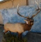 FB ELK