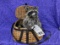 RACCOON IN FISHING BASKET