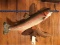 HUGE REAL SKIN RAINBOW TROUT