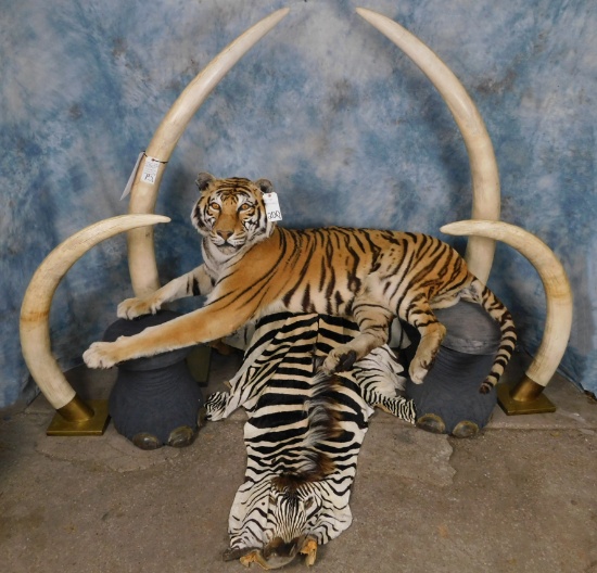 Largest Winter Taxidermy and Western Decor Auction