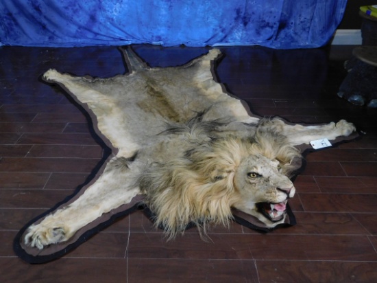 LION RUG W/MOUNTED HEAD (TX RESIDENTS ONLY)