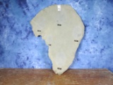 ELEPHANT EAR -MOUNTED ON BOARD (US RESIDENTS ONLY)