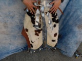 COWHIDE CHAPS