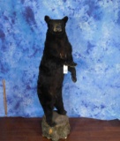 FB BLACK BEAR