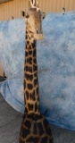 SUPER NICE DARK COLORED GIRAFFE FLOOR PEDESTAL