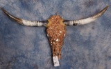 CRYSTAL LONGHORN SKULL