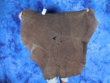 BROWN ELEPHANT HIDE (US RESIDENTS ONLY)