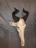 HARTEBEEST SKULL