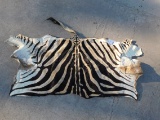 ZEBRA HIDE