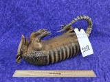 REPRODUCTION ARMADILLO