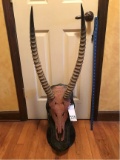 AWESOME WATERBUCK SKULL ON MARBLE PEDESTAL