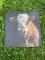 2 COW PICTURE/WALL HANGINGS (2x$)