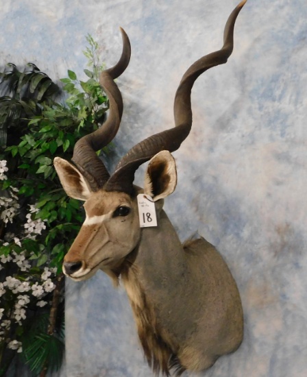 KUDU MT