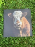 2 COW PICTURE/WALL HANGINGS (2x$)