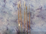 5 SPEARS FROM AFRICA (5x$)