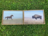 2 PICTURE/WALL HANGINGS   BUFFALO AND HORSE