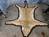 LIONESS RUG (TX RESIDENTS ONLY)