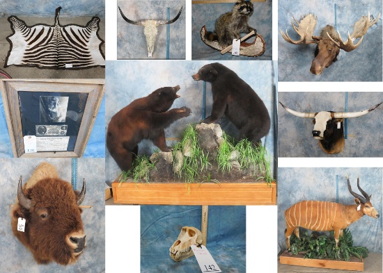 TAXIDERMY KING'S 2ND ANNUAL SUMMER SALE
