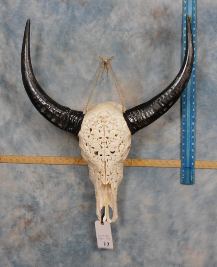 Carved Waterbuffalo Skull