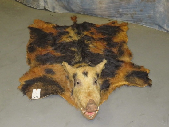 HOG RUG W/MOUNTED HEAD