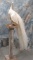 LIFESIZE WHITE PEACOCK ON STAND  TAXIDERMY