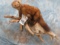 LIFESIZE PINE MARTIN