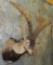 IBEX SH MT TAXIDERMY