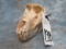 BABOON SKULL TAXIDERMY